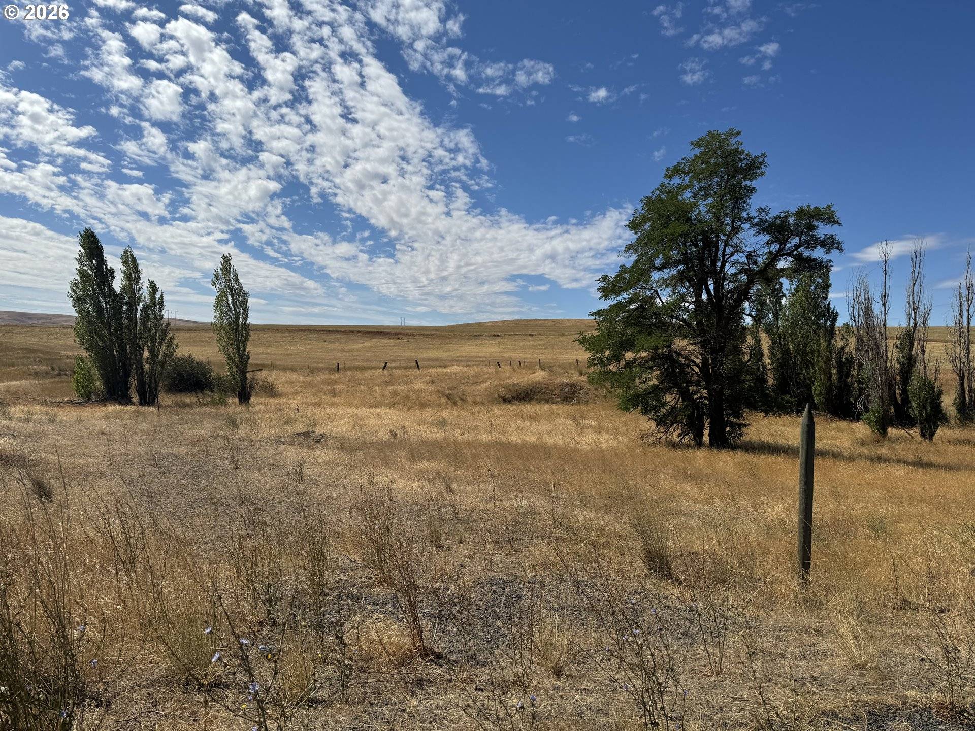 Niva RD, Centerville, WA 98613