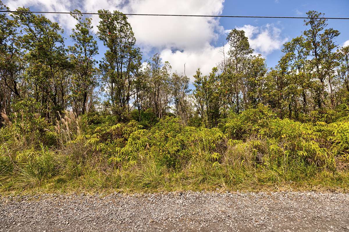 11-2074 OMEKA RD, Volcano, HI 96785