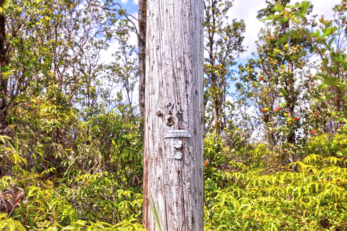 11-2074 OMEKA RD, Volcano, HI 96785