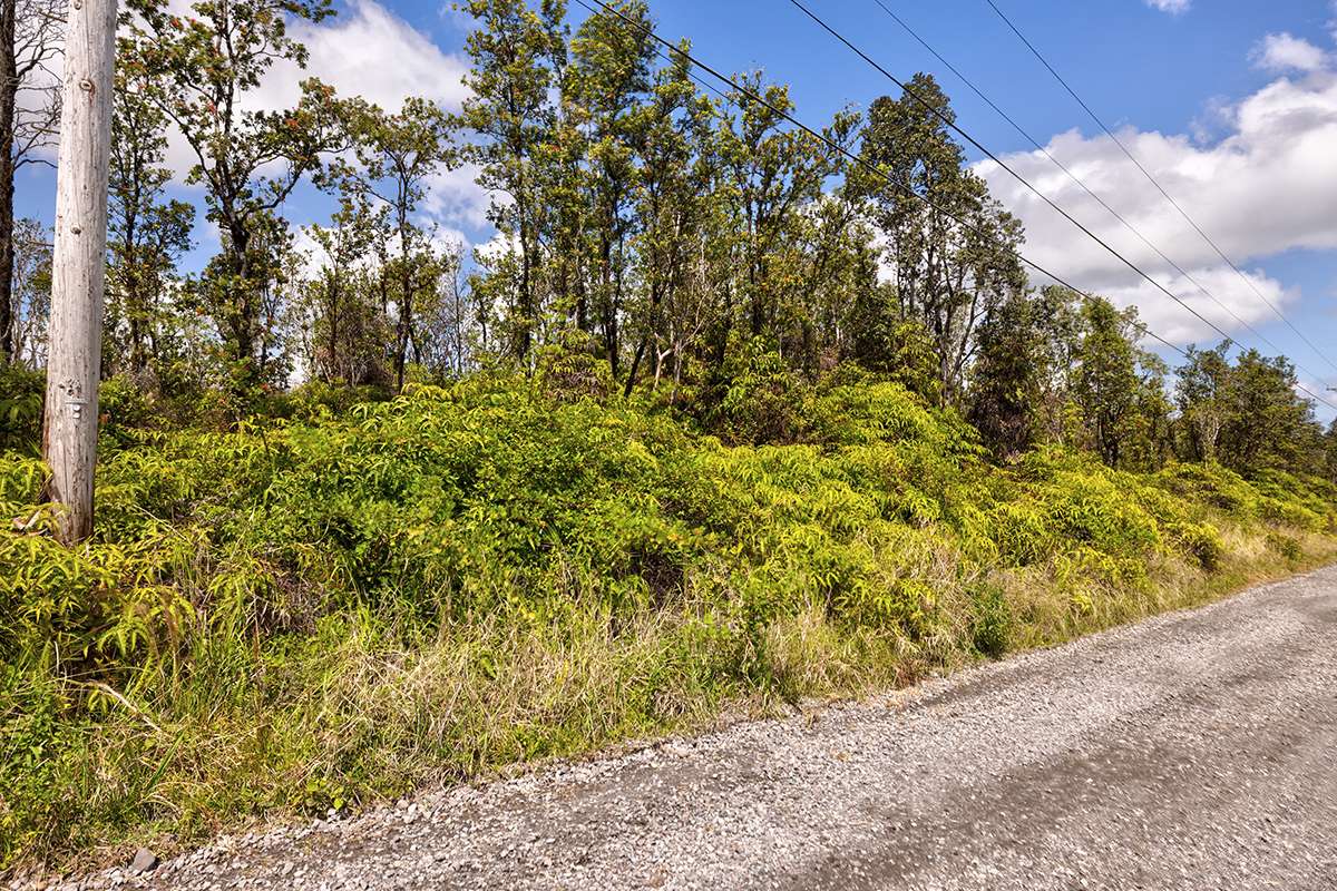 11-2080 OMEKA RD, Volcano, HI 96785