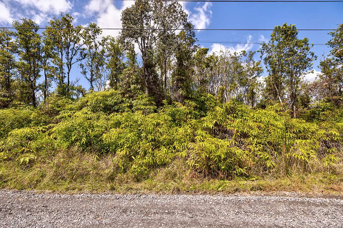 11-2080 OMEKA RD, Volcano, HI 96785