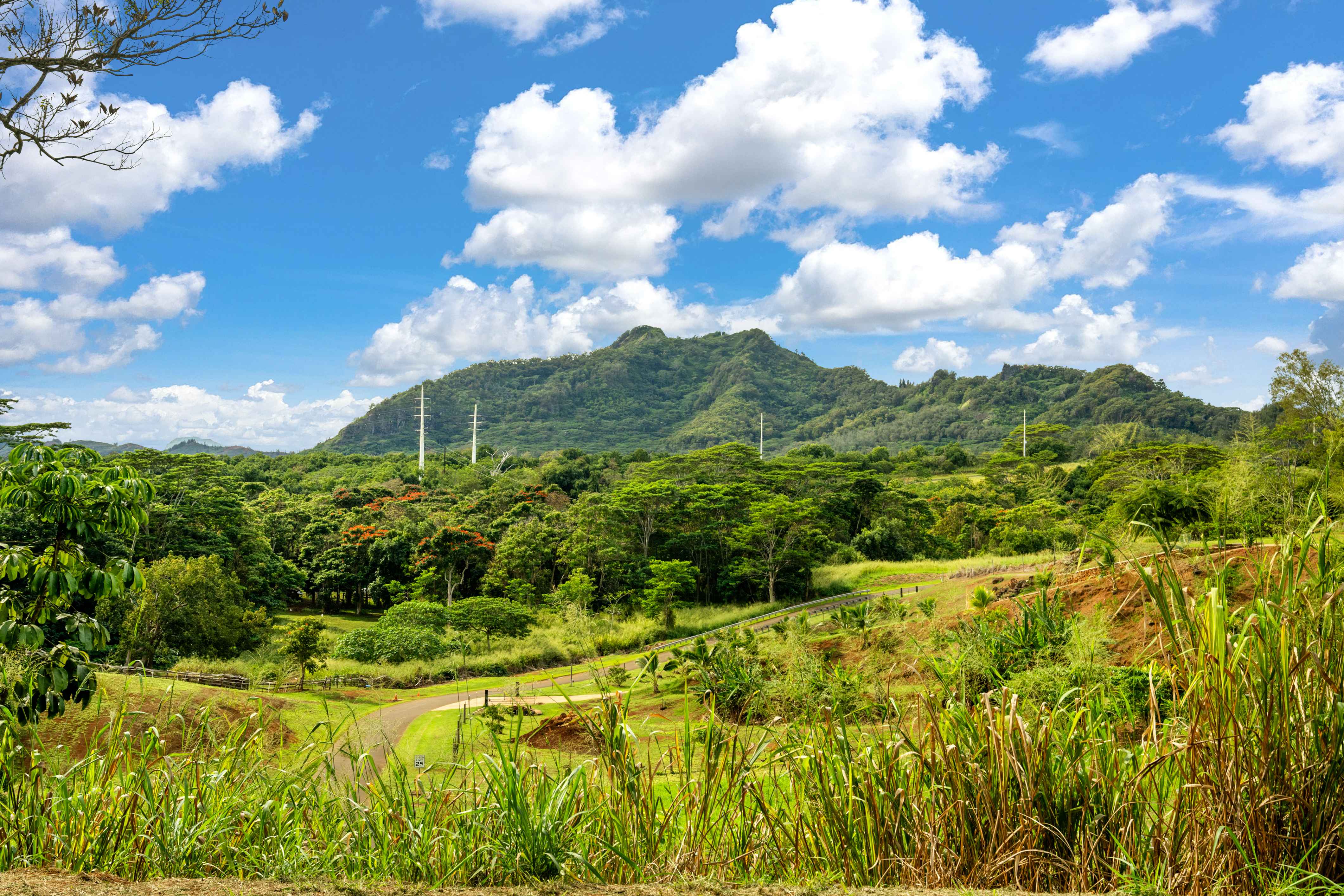 KANA ST #Unit 10B, Kapaa, HI 96746