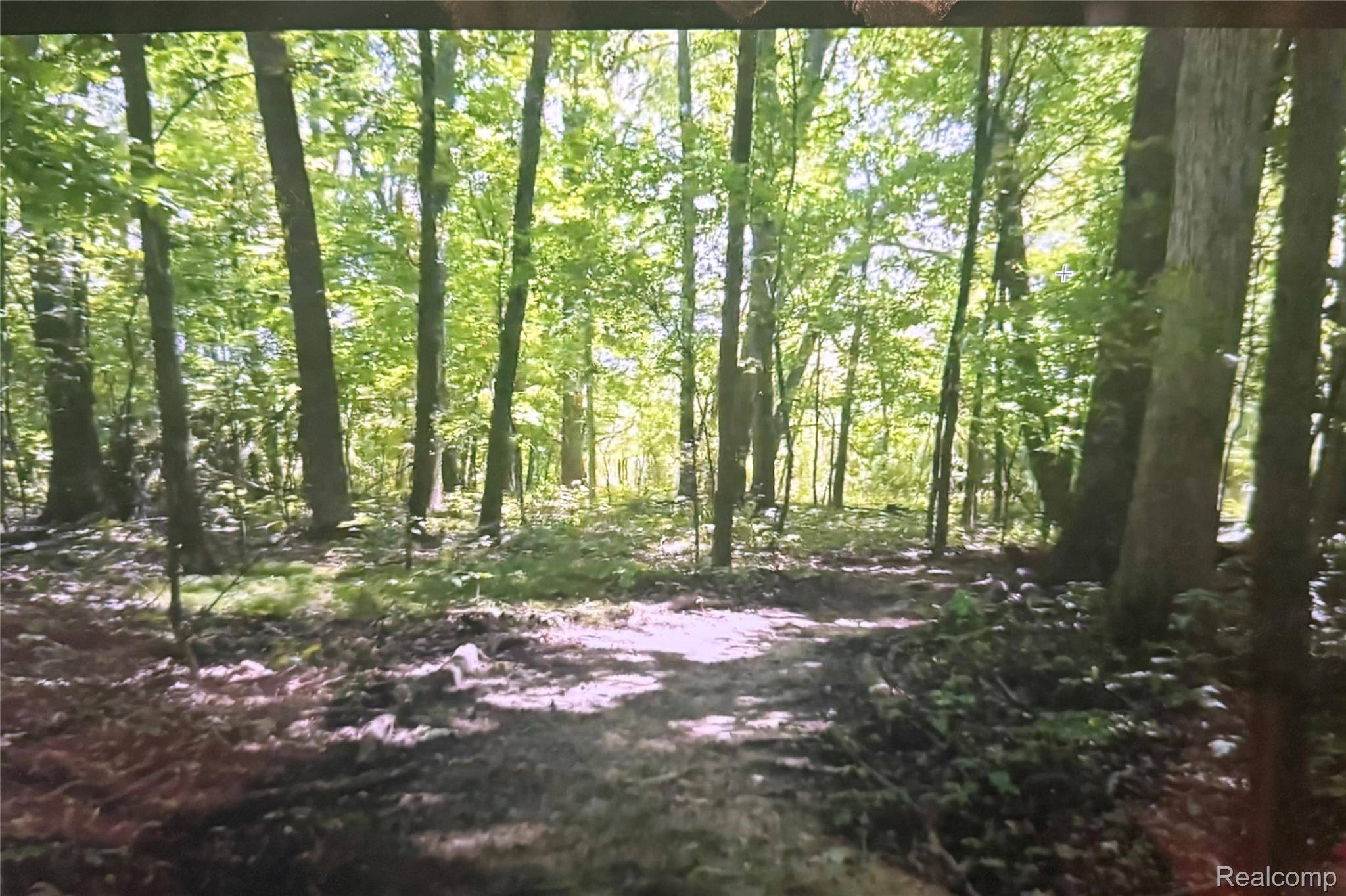 00 Rolling Acres DR, Brandon Charter Township, MI 48462