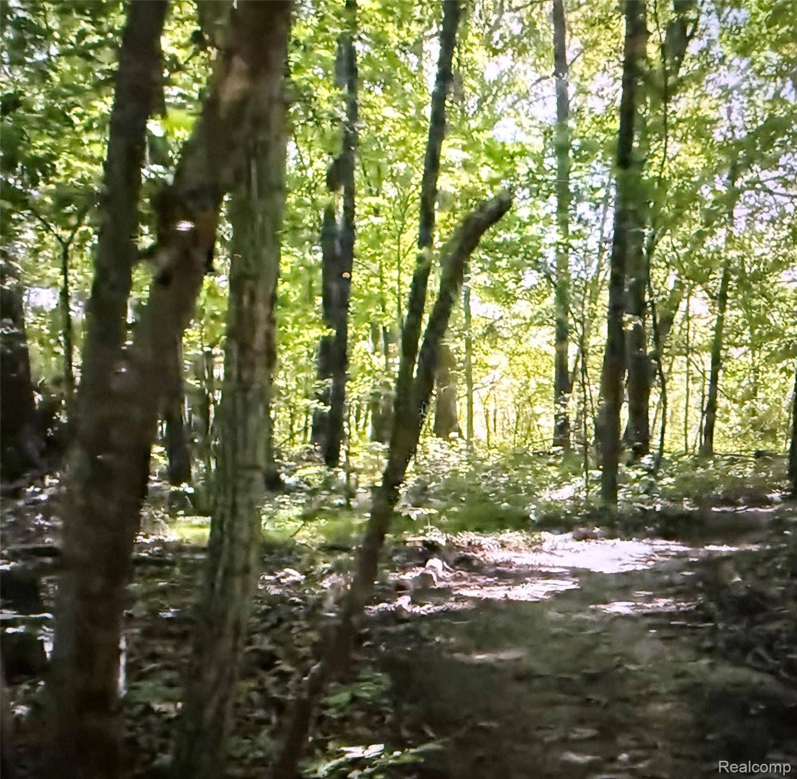 00 Rolling Acres DR, Brandon Charter Township, MI 48462