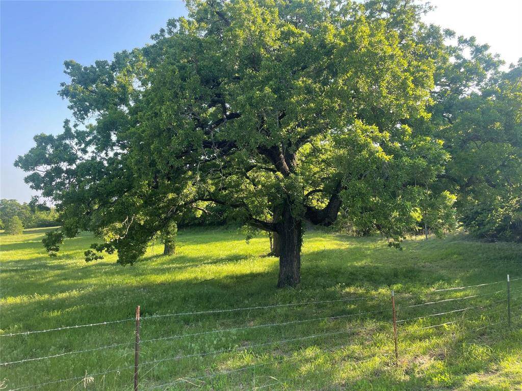 858 County Road 2395, Alvord, TX 76225