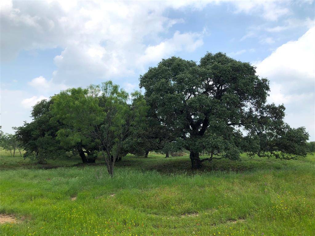 Lot 30 Ledge Stone Lane, Blanket, TX 76432