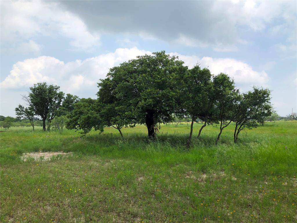 Lot 30 Ledge Stone Lane, Blanket, TX 76432