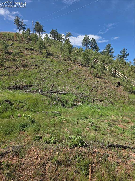 14874 Evergreen PL, Woodland Park, CO 80863