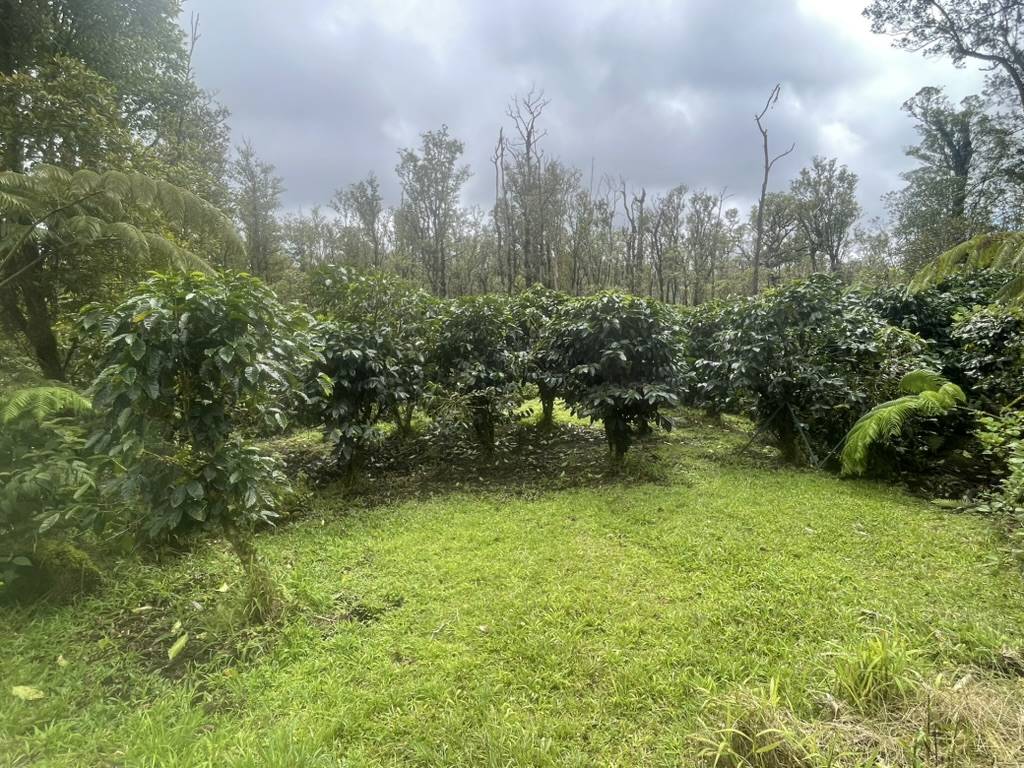 KOKOKAHI RD, Volcano, HI 96785