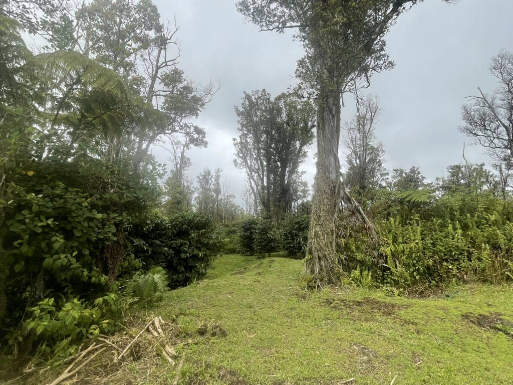 KOKOKAHI RD, Volcano, HI 96785