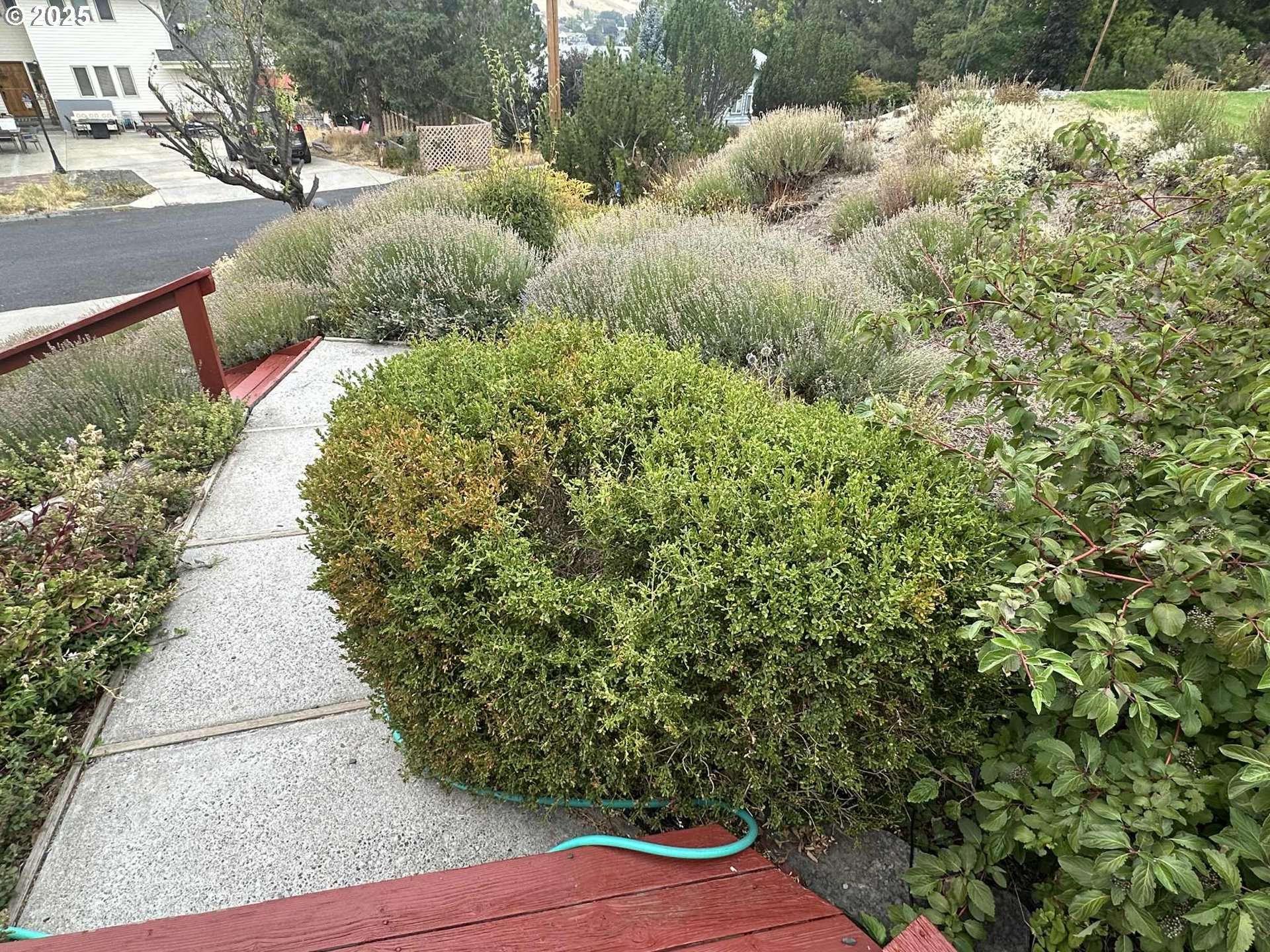 235 Rock ST, Heppner, OR 97836