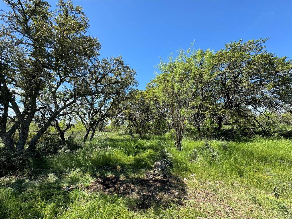 4810 S Hwy 87, Brady, TX 76825