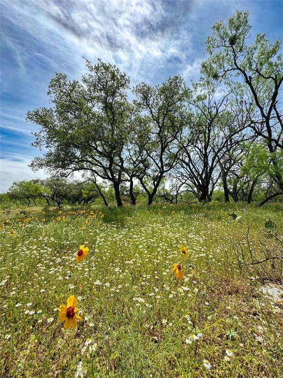 4810 S Hwy 87, Brady, TX 76825