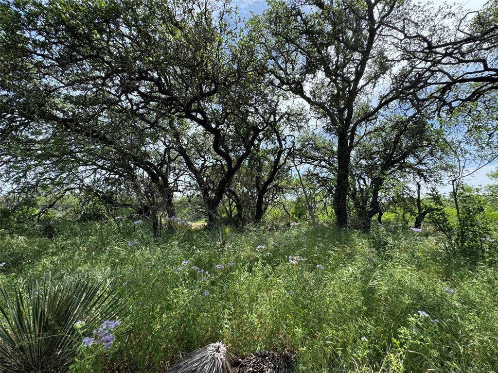 4810 S Hwy 87, Brady, TX 76825