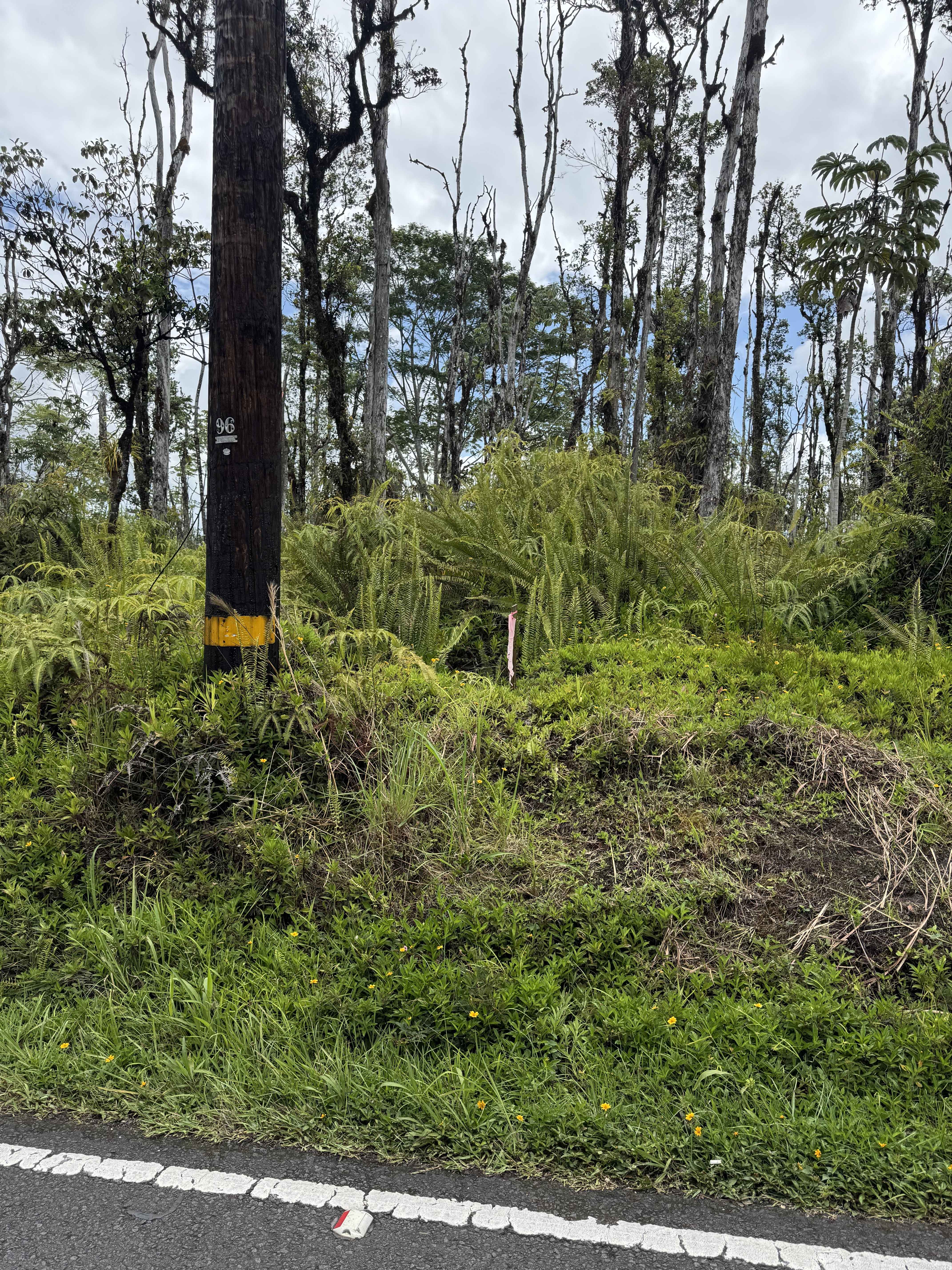 ROAD 9 (KOLOA MAOLI), Kurtistown, HI 96760