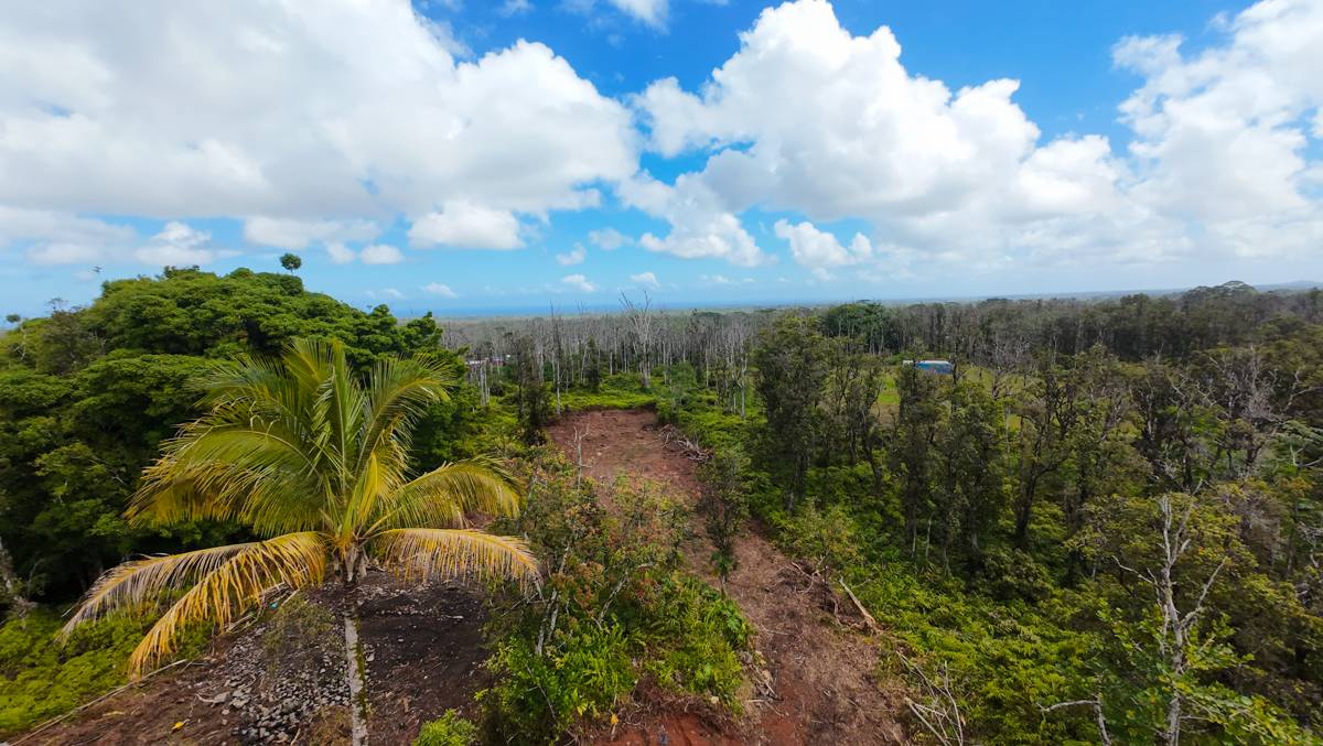 16-2041 KOLOA MAOLI RD, Kurtistown, HI 96760