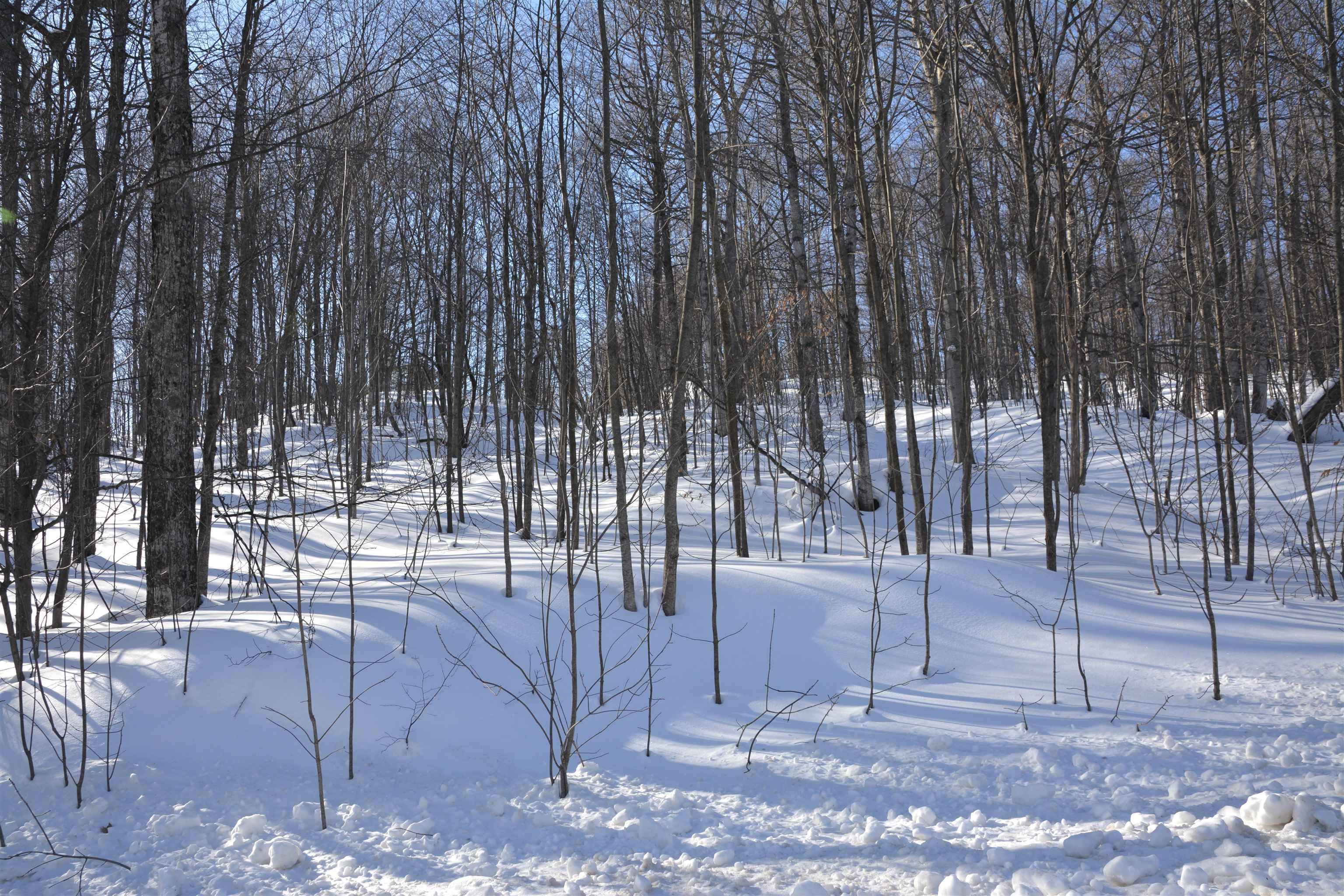 0 S Schomberg RD, Centerville Twp, MI 49621