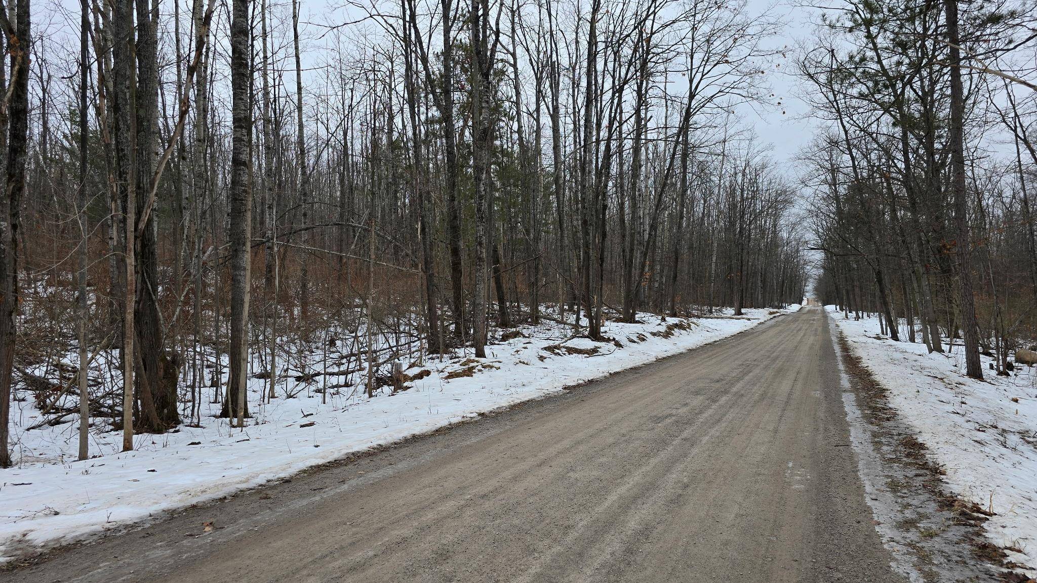 13384 Bartz RD, Ossineke Twp, MI 49747