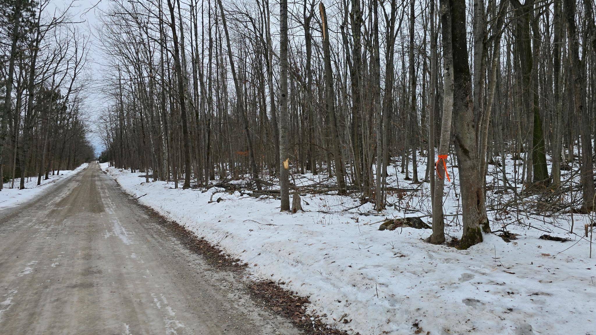 13384 Bartz RD, Ossineke Twp, MI 49747