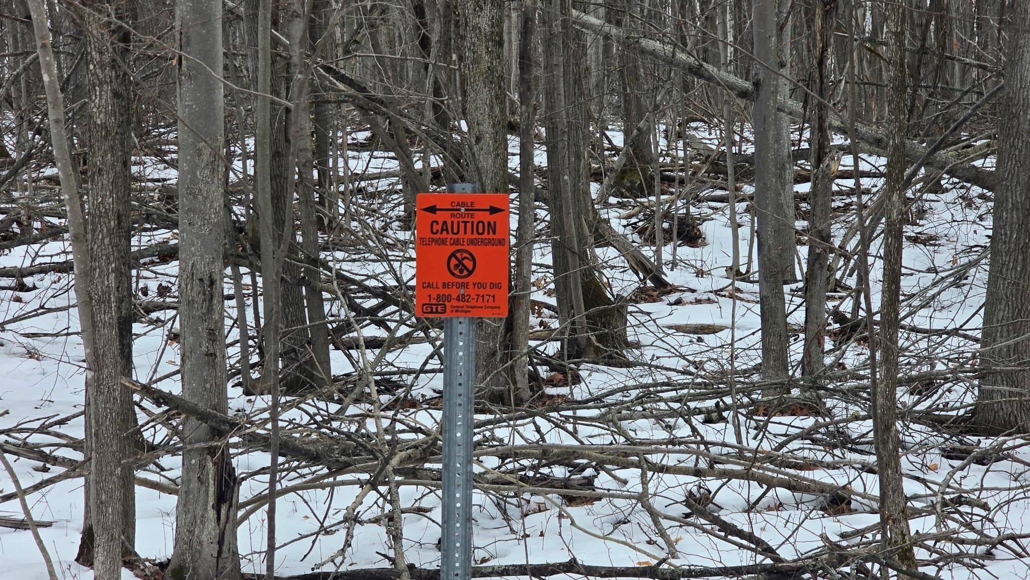 13384 Bartz RD, Ossineke Twp, MI 49747