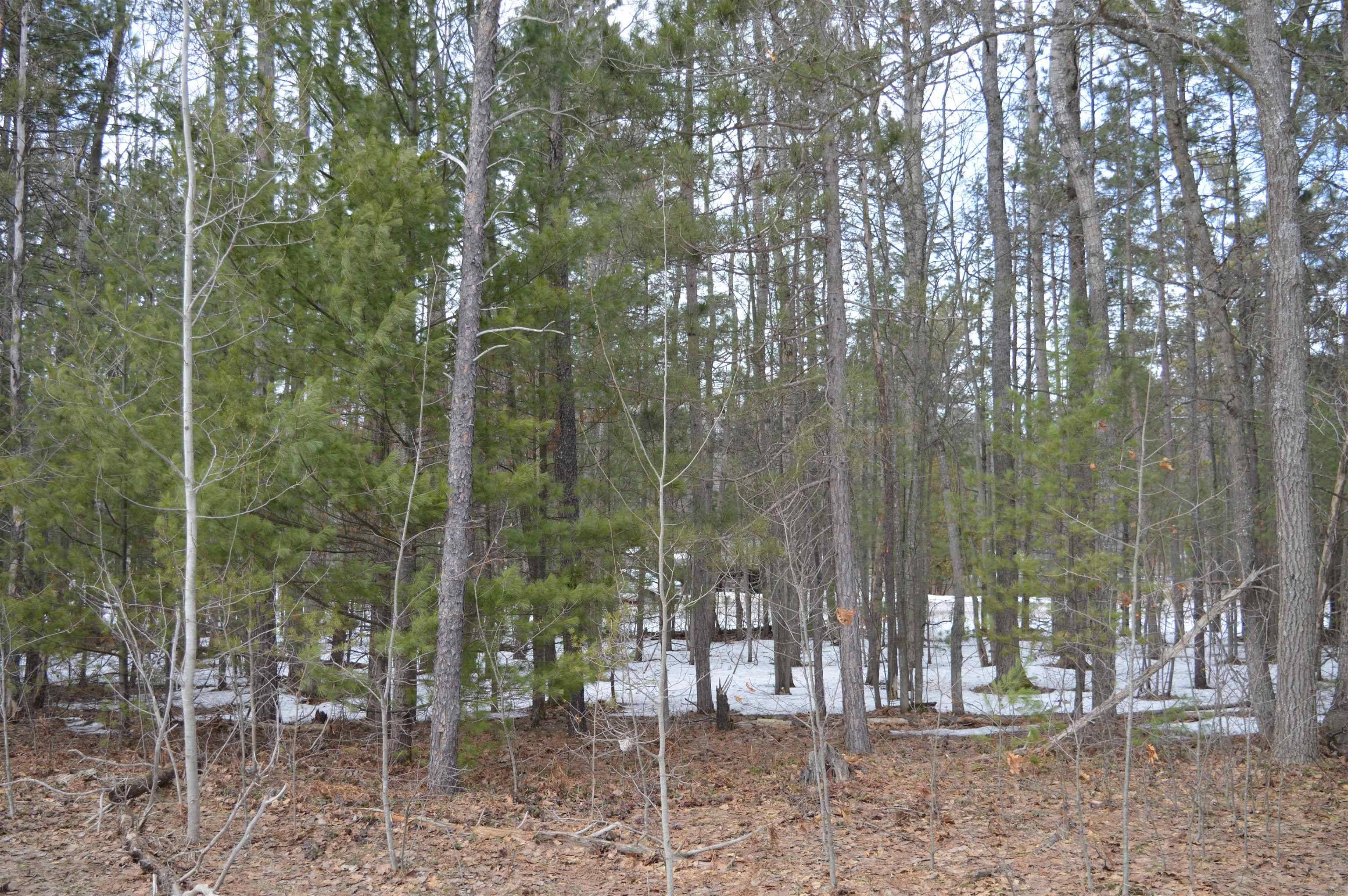 1971 Bunker DR, Kalkaska Twp, MI 49646