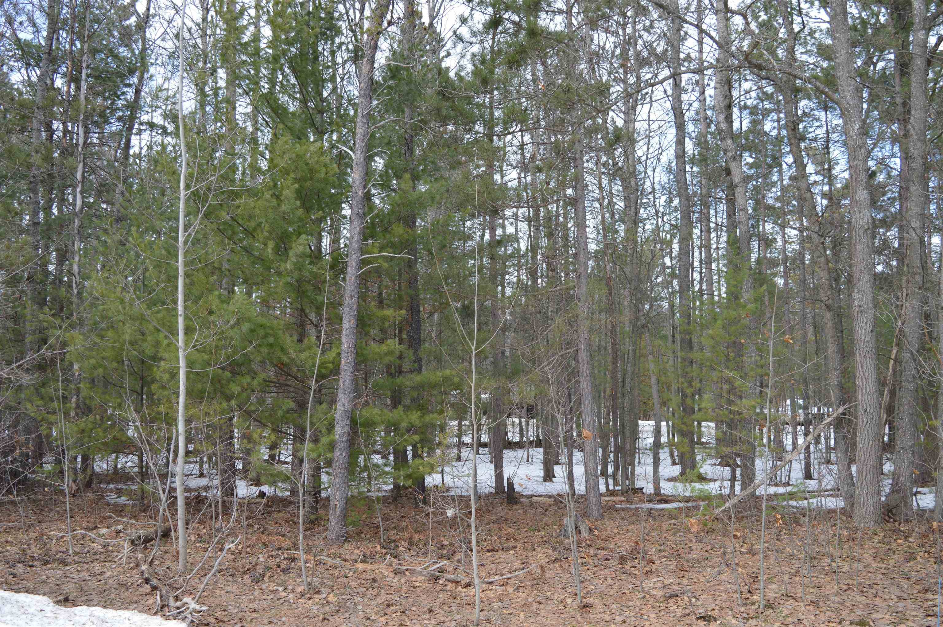 1971 Bunker DR, Kalkaska Twp, MI 49646