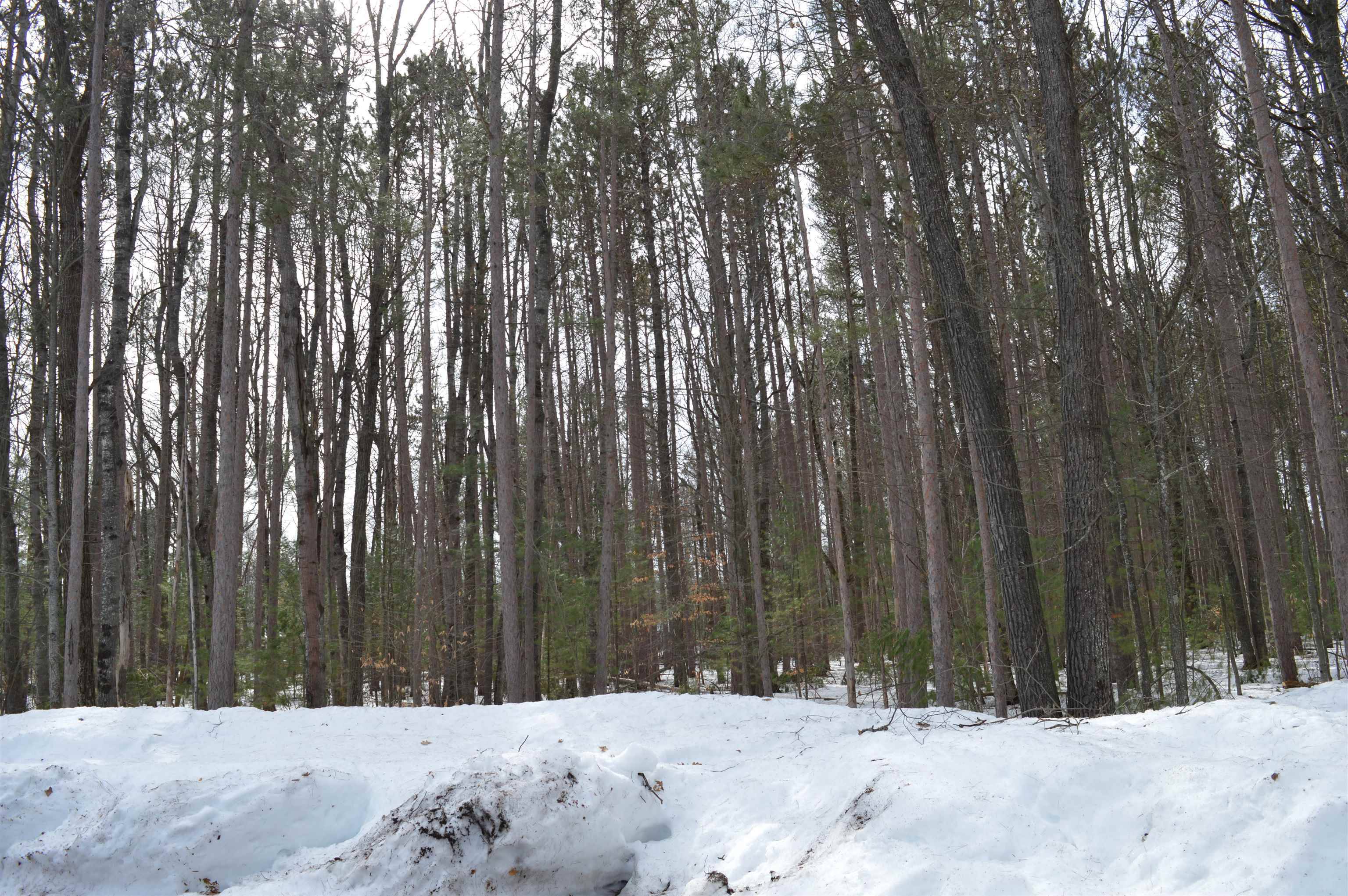 773 Golf Side DR, Kalkaska Twp, MI 49646