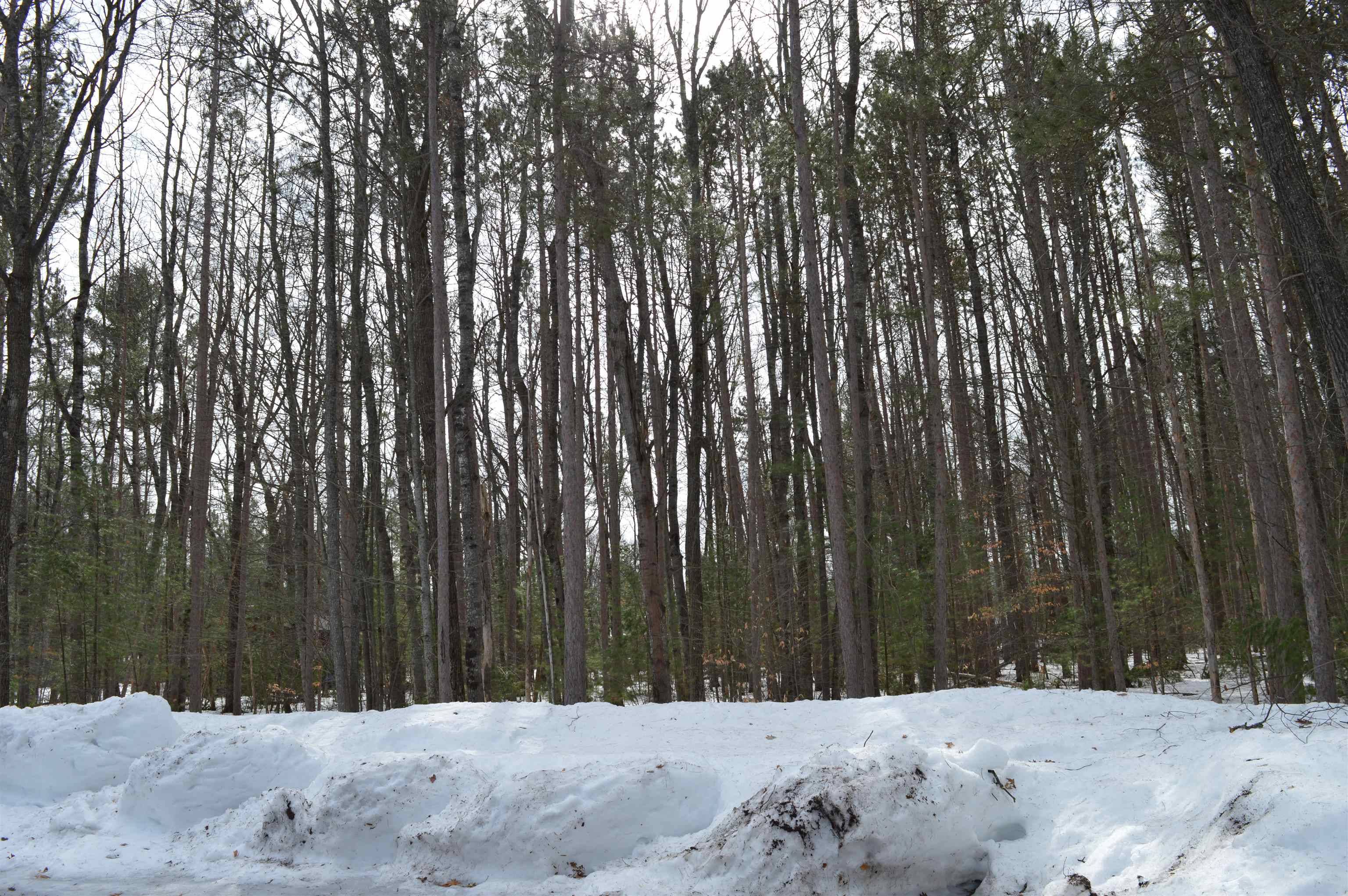 773 Golf Side DR, Kalkaska Twp, MI 49646