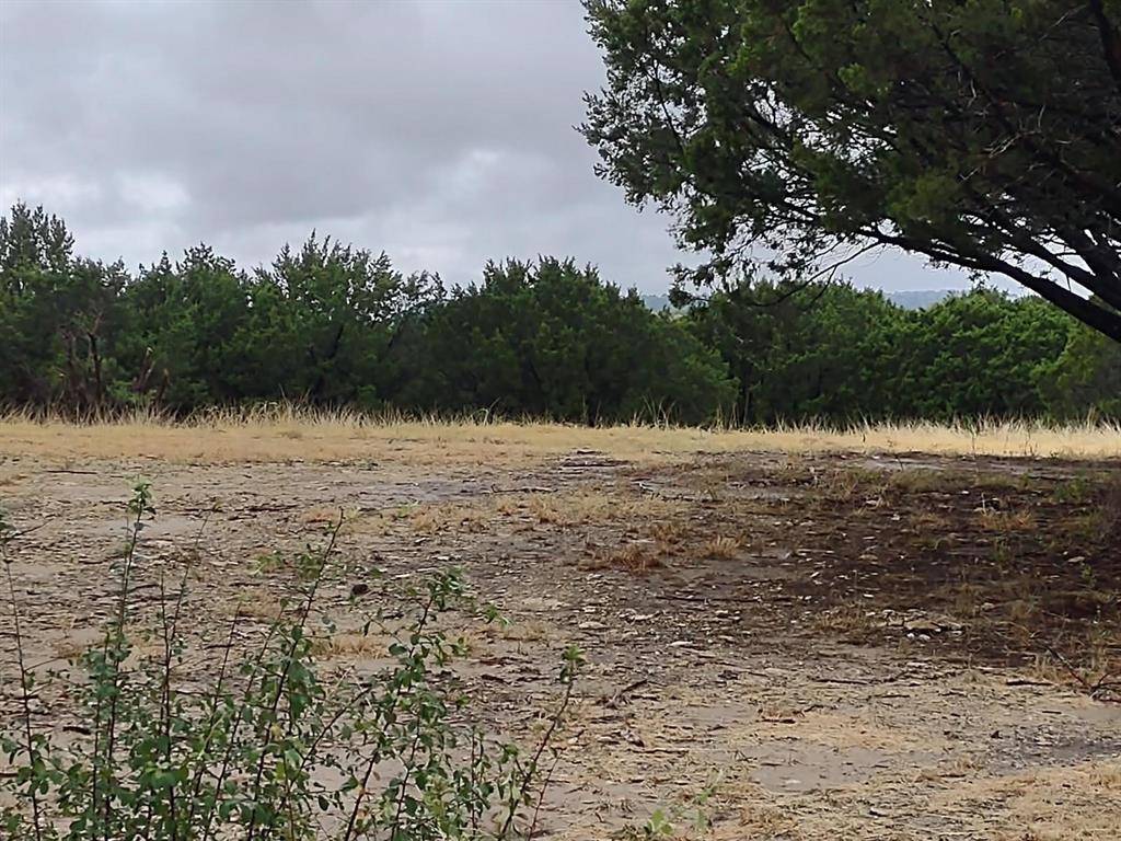 1007 W Apache Trail, Granbury, TX 76048