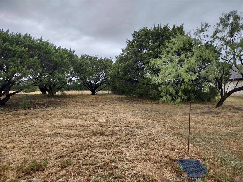 1007 W Apache Trail, Granbury, TX 76048