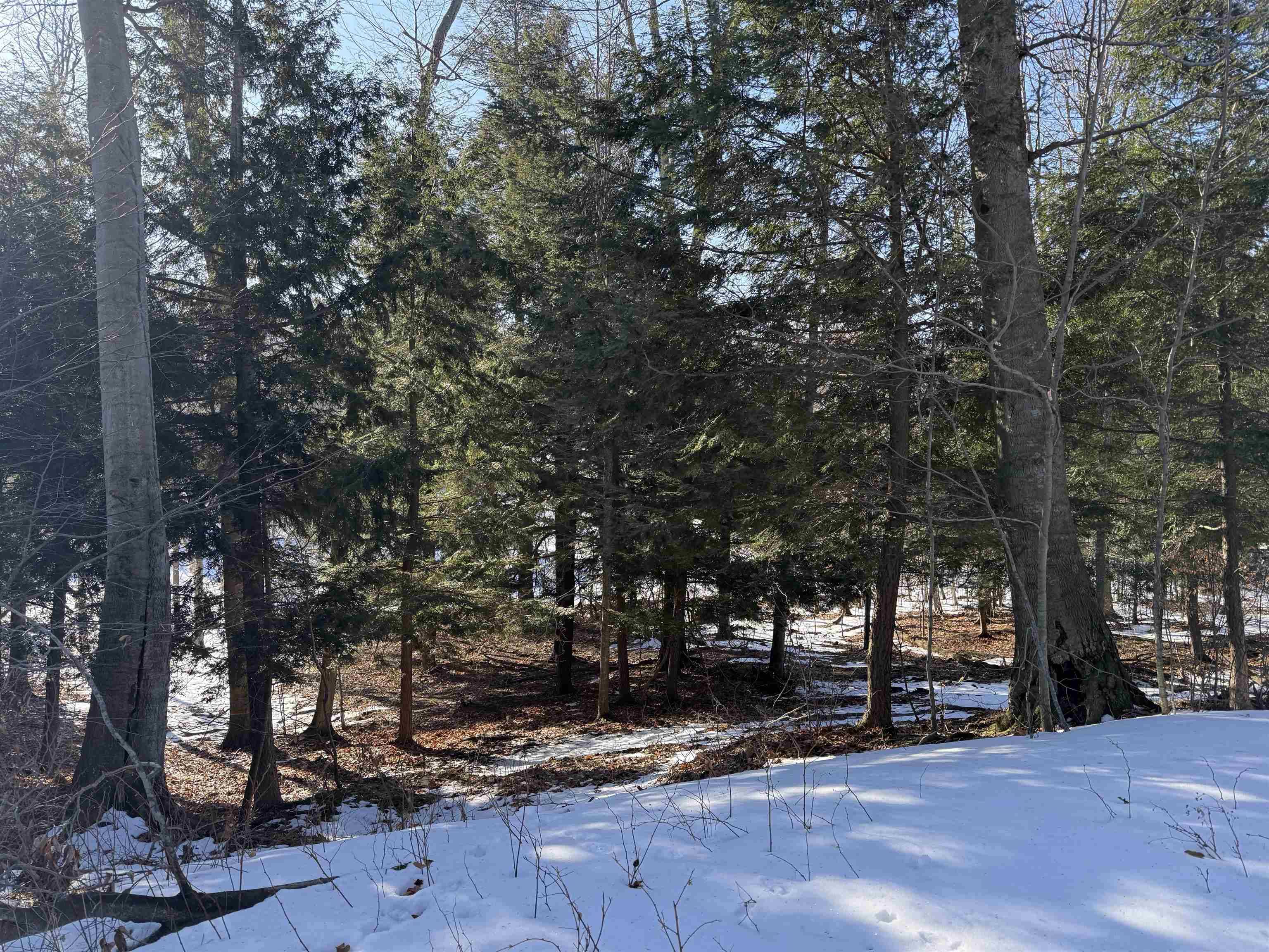 unit 7 Old TRL, Lake Twp, MI 49635