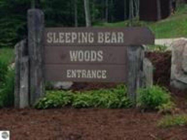 unit 7 Old TRL, Lake Twp, MI 49635