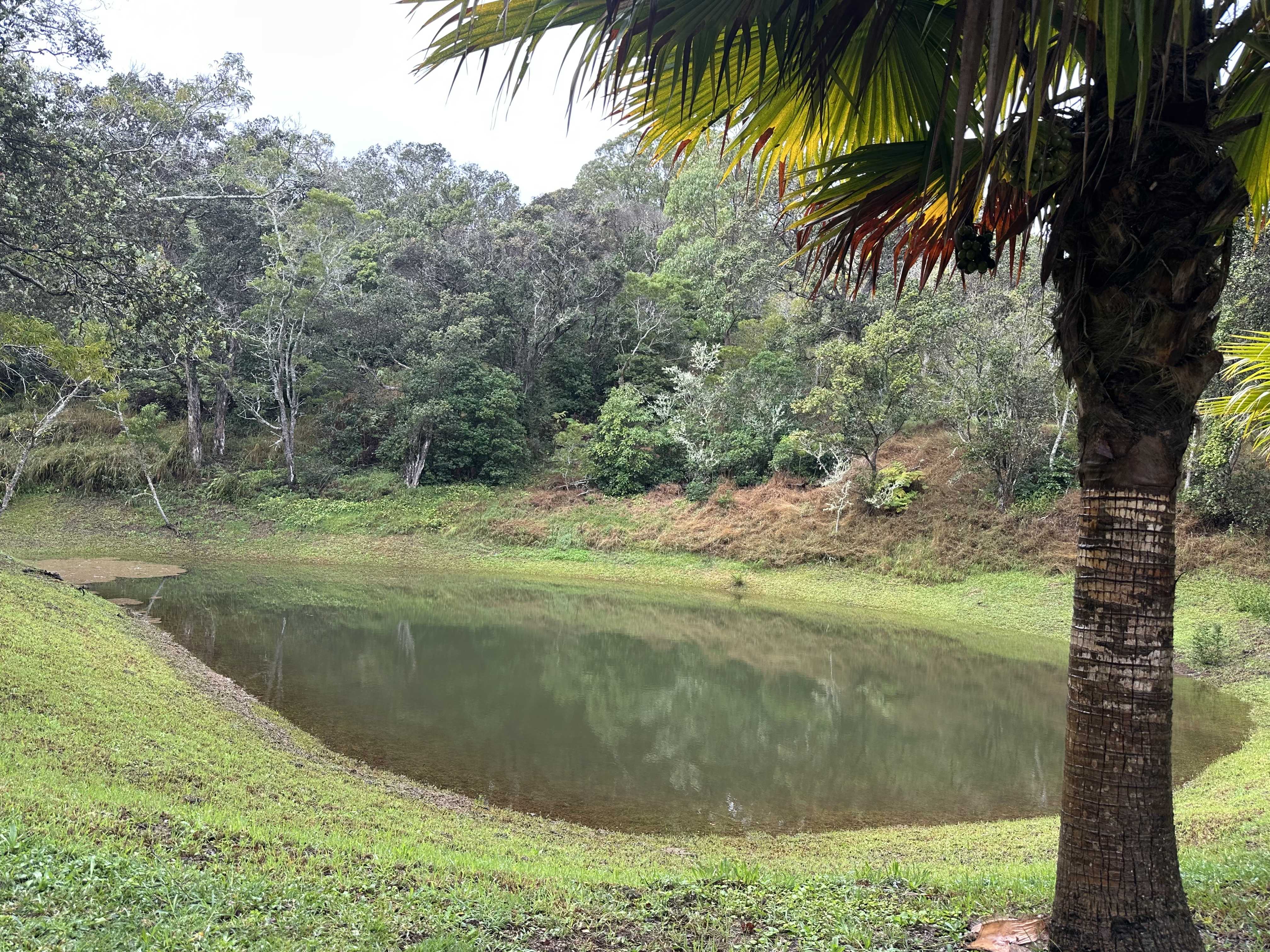 43-5745 OLD STABLE RD, Paauilo, HI 96776