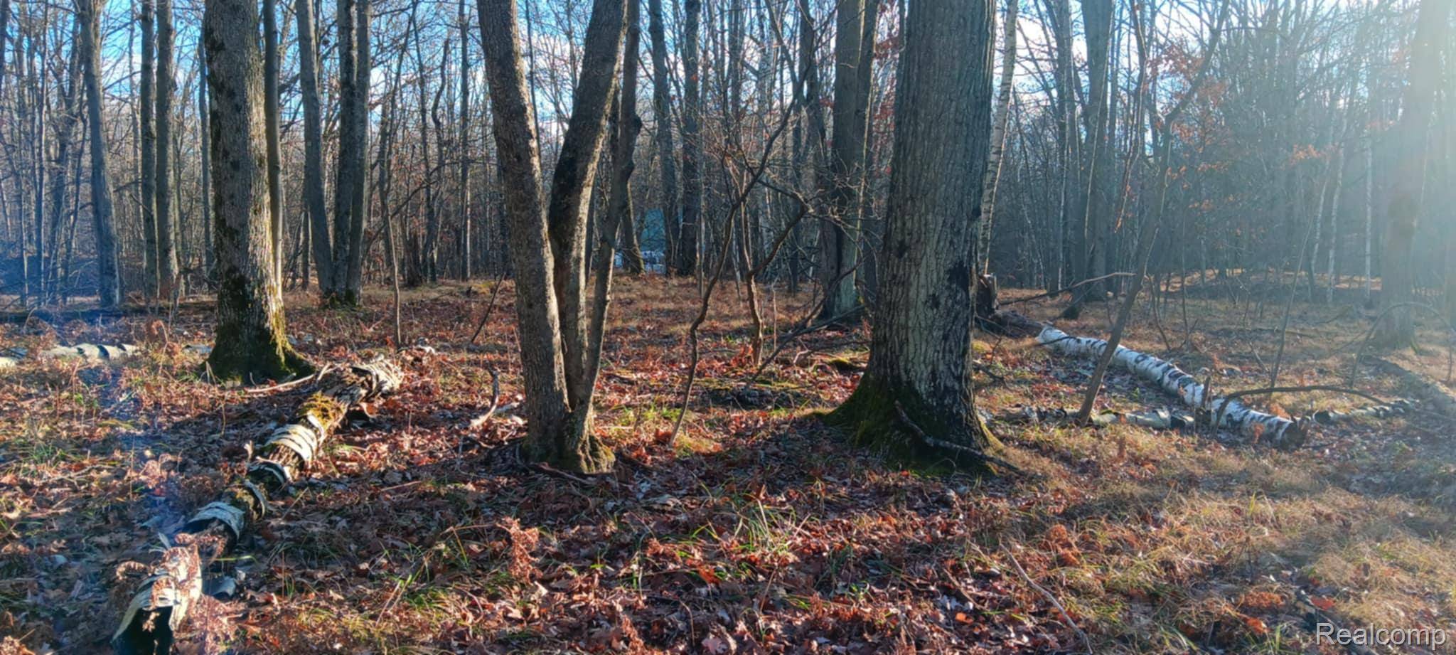 1782 Hemlock Lane, Lincoln Township, MI 48622