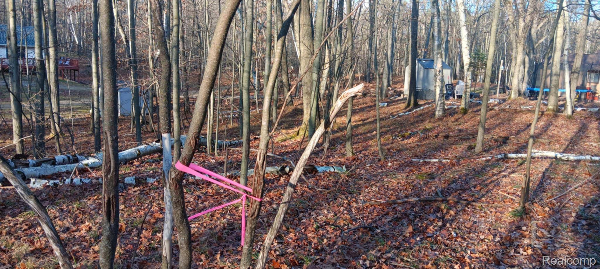 1782 Hemlock Lane, Lincoln Township, MI 48622