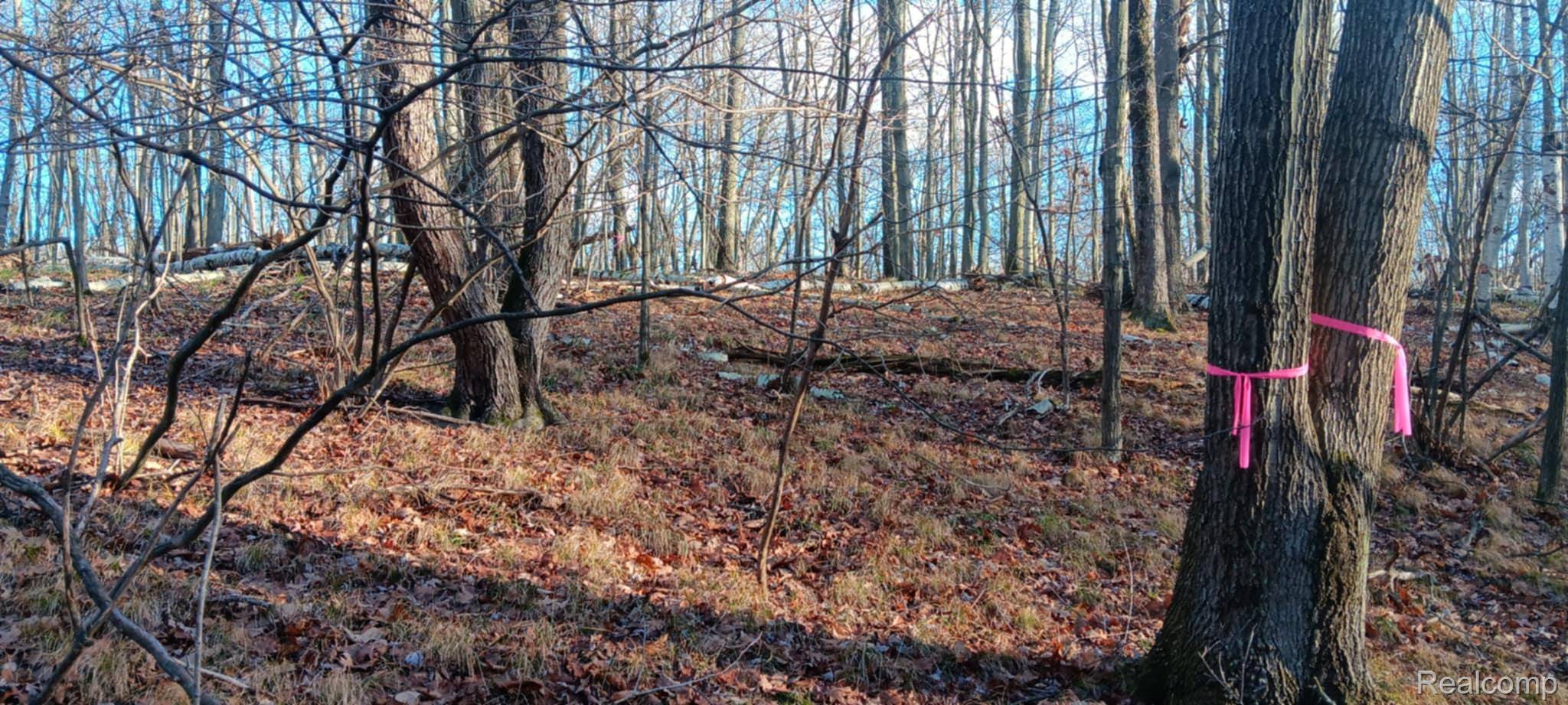 1782 Hemlock Lane, Lincoln Township, MI 48622