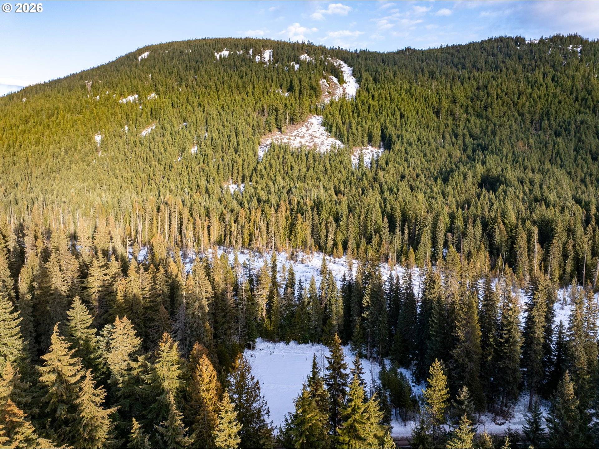 93732 E HIGHWAY 26, Government Camp, OR 97028