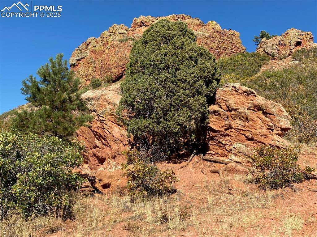 6154 St Andrews CT, Larkspur, CO 80118