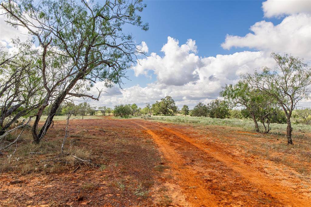 TBD County Road 155, Nixon, TX 78125
