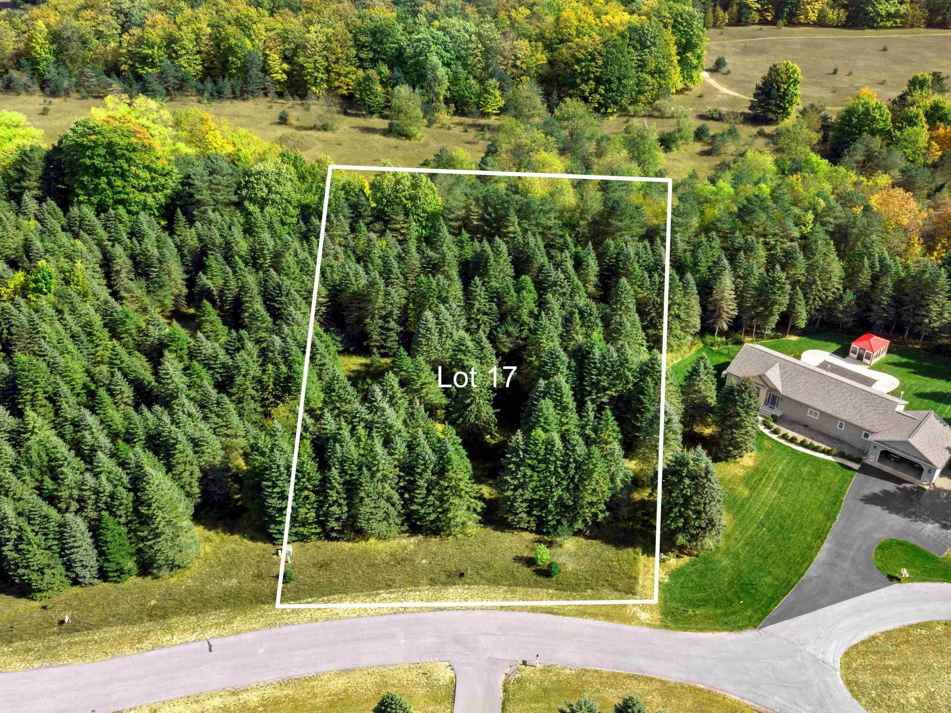 Lot 17 Lipp Farm RD, Benzonia Twp, MI 49616