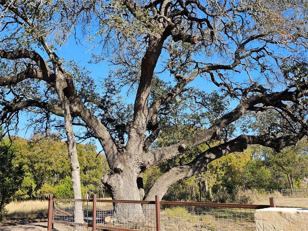 TBD-29.38 Acres Greenbriar Road, Gatesville, TX 76528