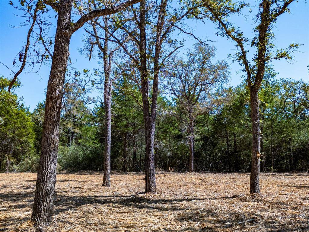 12345 Country Road 414, Somerville, TX 77879
