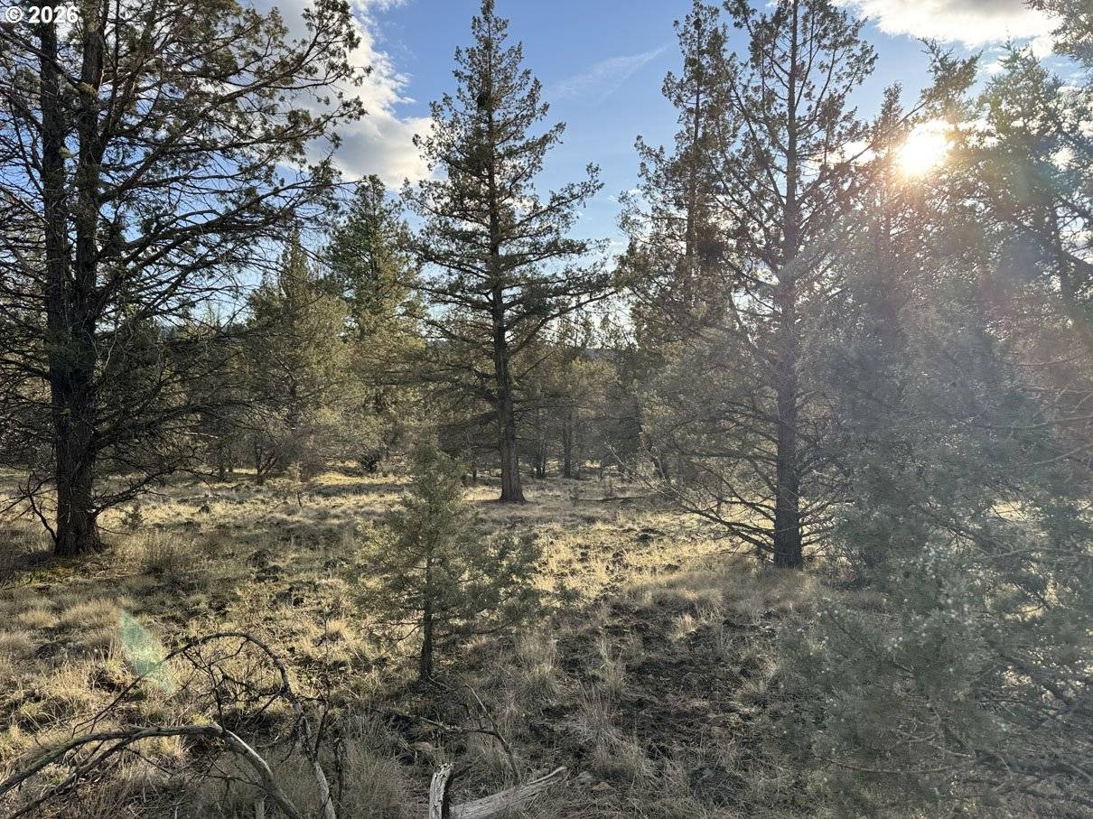 Canvasback DR #36, Bonanza, OR 97623