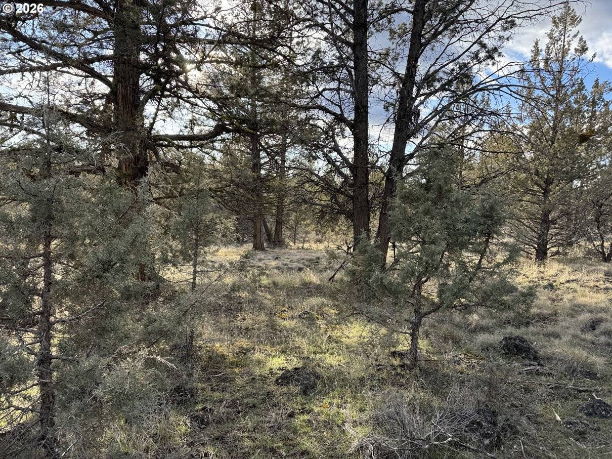 Canvasback DR #36, Bonanza, OR 97623