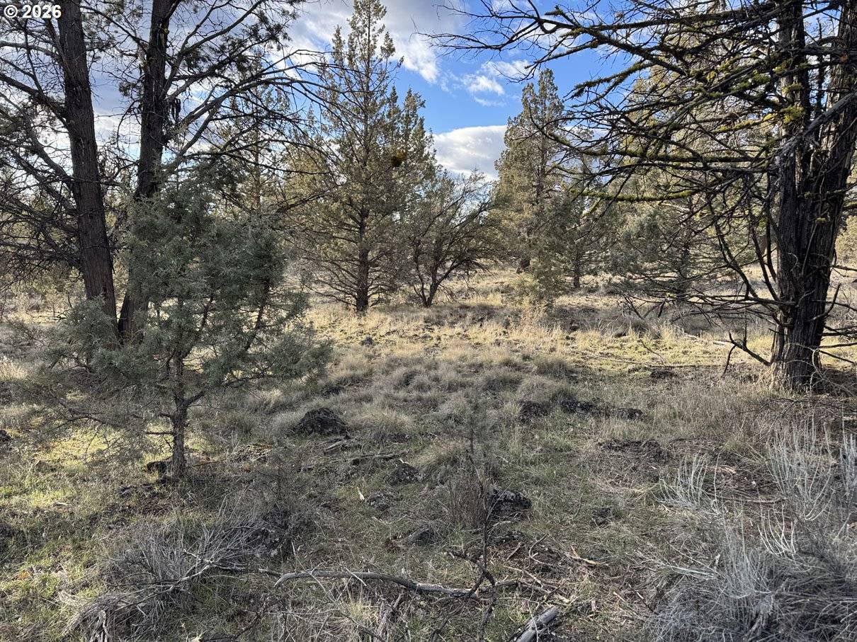 Canvasback DR #36, Bonanza, OR 97623