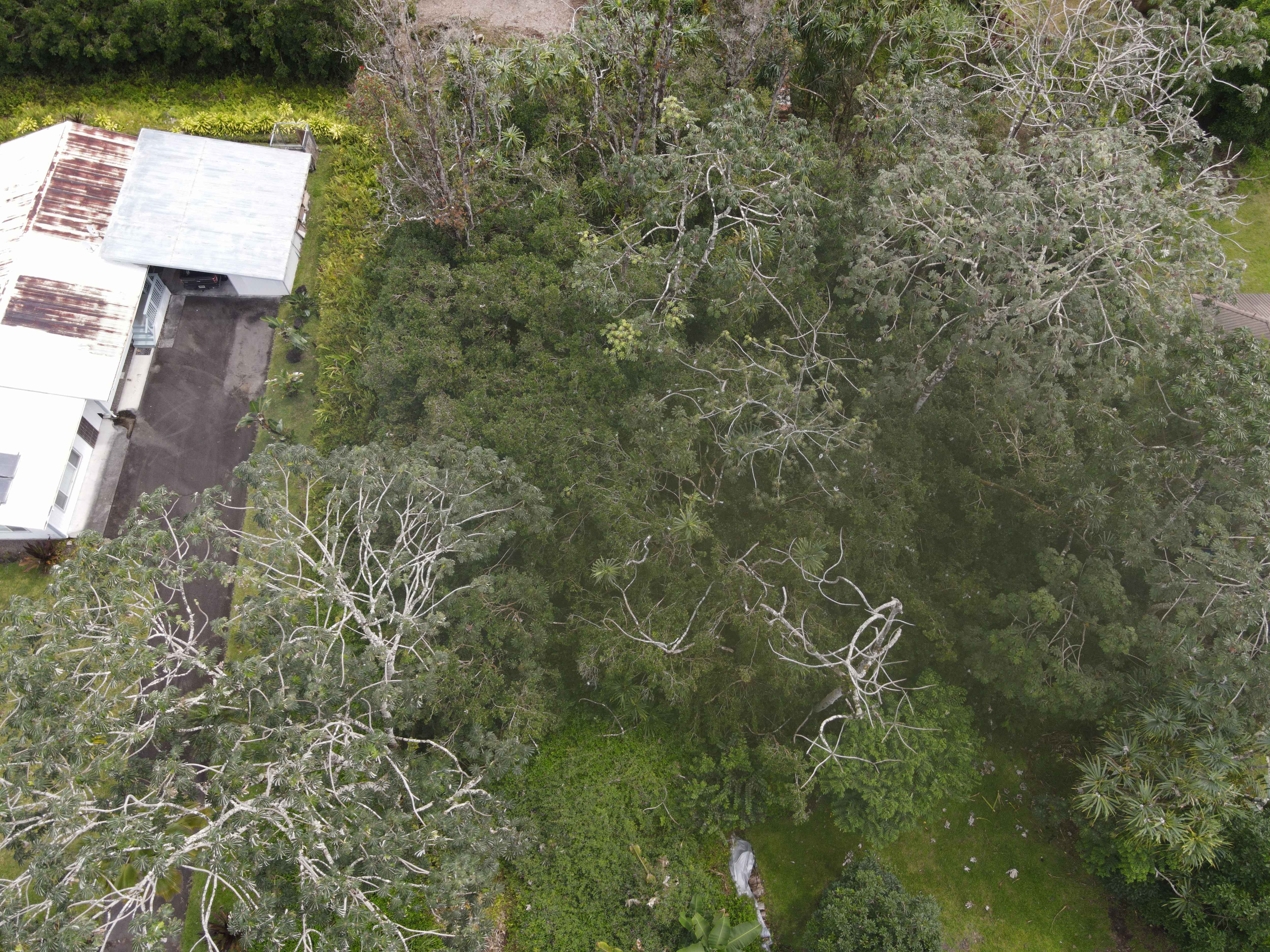 MOANA ST, Pahoa, HI 96778