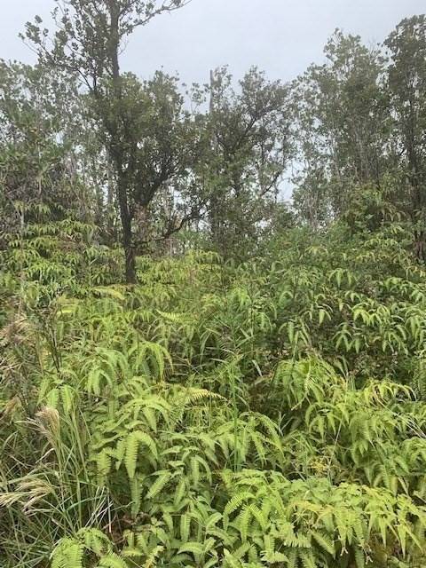 KOKOKAHI RD, Volcano, HI 96785