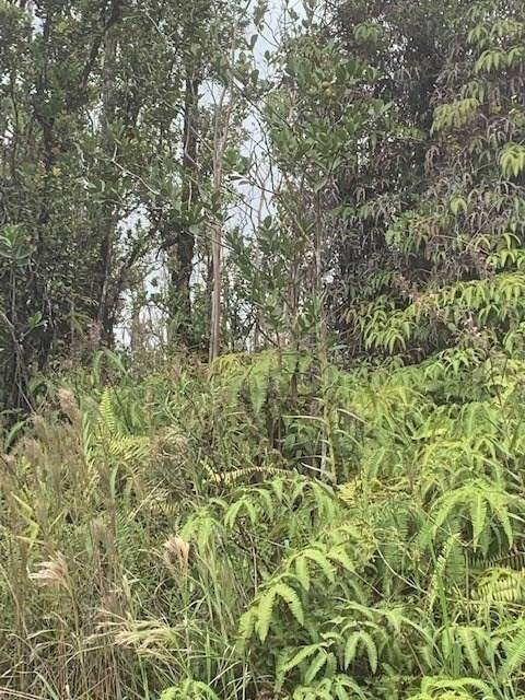 KOKOKAHI RD, Volcano, HI 96785