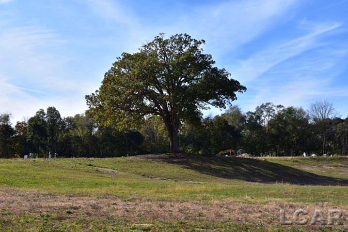 748 Eagle View WAY, Tecumseh, MI 49286