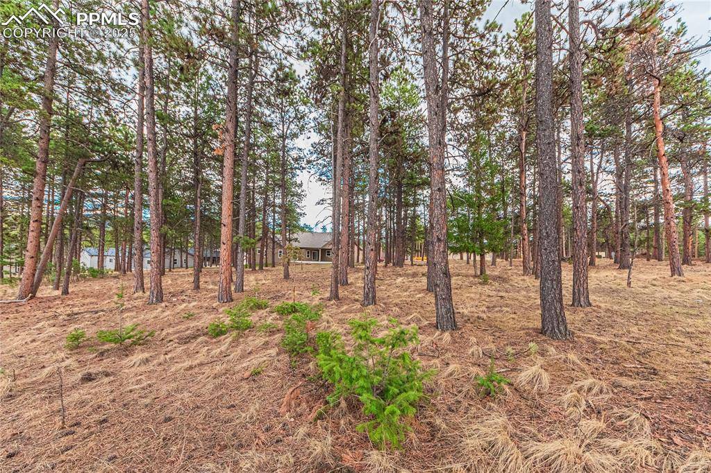 1290 Firestone DR, Woodland Park, CO 80863
